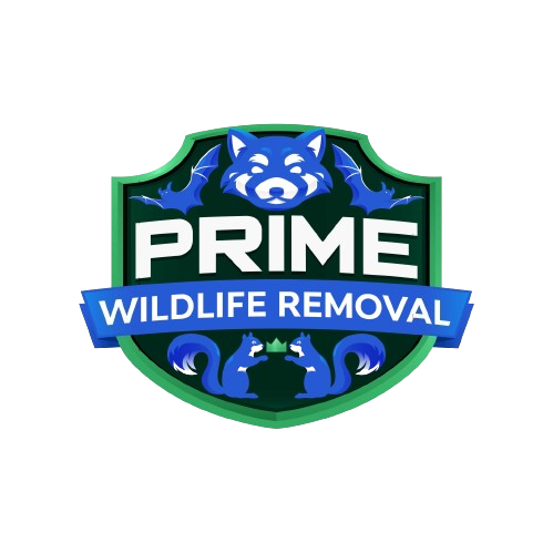 Wildlife Removal Clare County